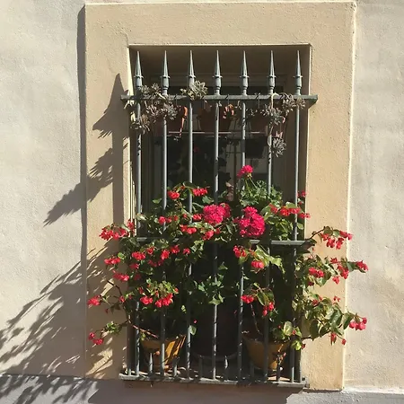 Simone's Tiny House Apartment Montpellier